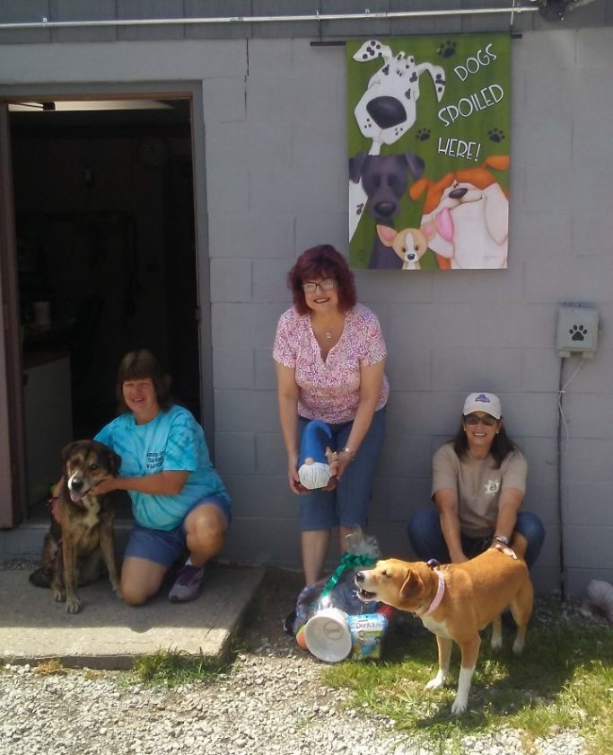 ‘Christmas in July’ fundraiser to benefit Harrison dog pound News